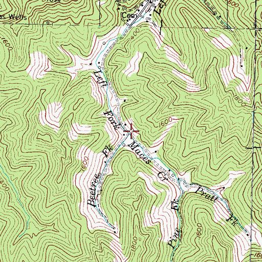 Topographic Map of Beetree Fork, KY