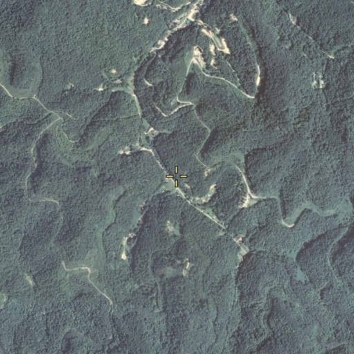 Aerial/Satellite Image of Beetree Fork, KY