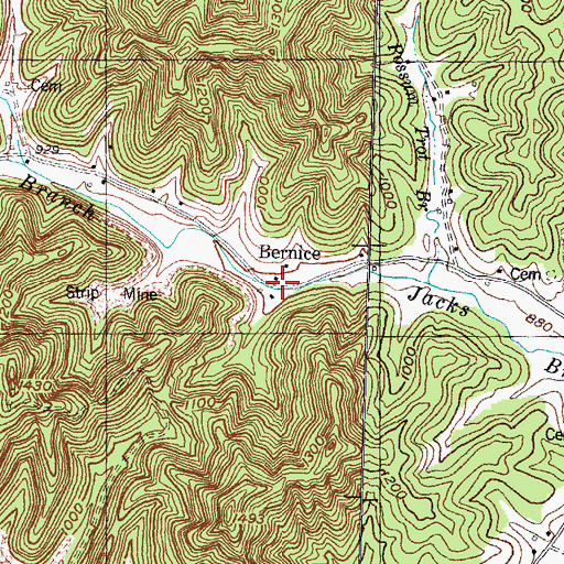 Topographic Map of Bernice, KY