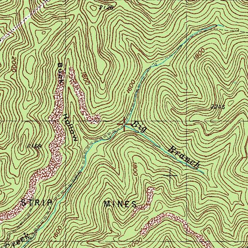 Topographic Map of Big Branch, KY
