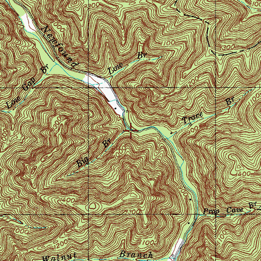 Topographic Map of Big Branch, KY