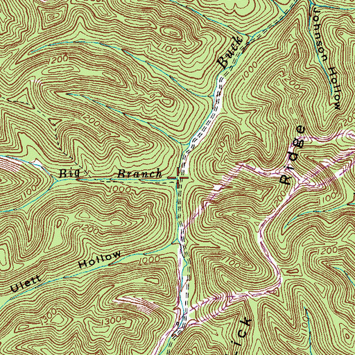 Topographic Map of Big Branch, KY