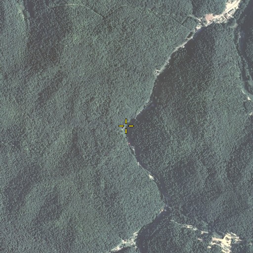 Aerial/Satellite Image of Big Branch, KY