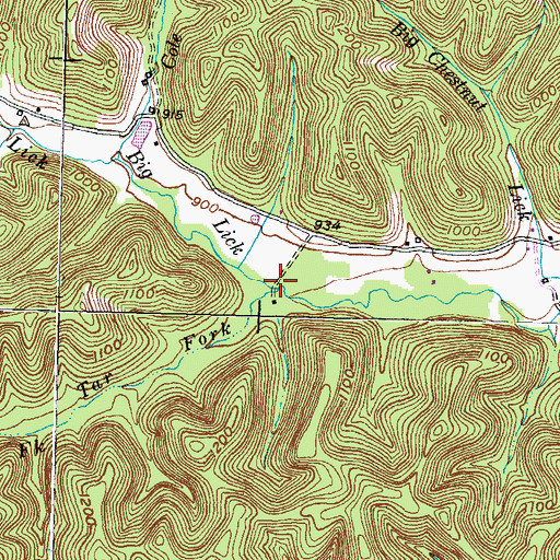 Topographic Map of Big Lick, KY