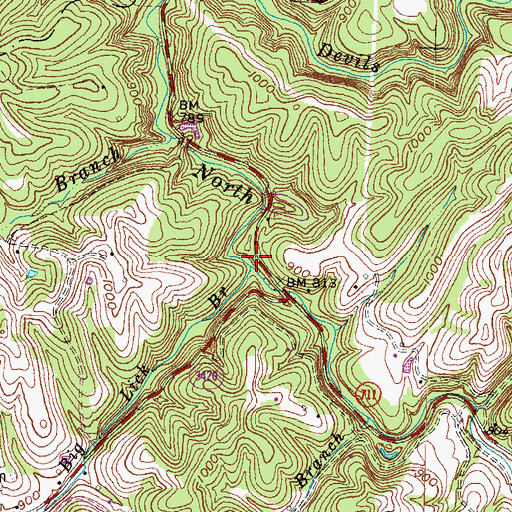 Topographic Map of Big Lick Branch, KY