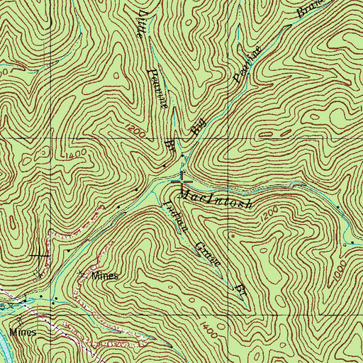 Topographic Map of Big Peavine Branch, KY