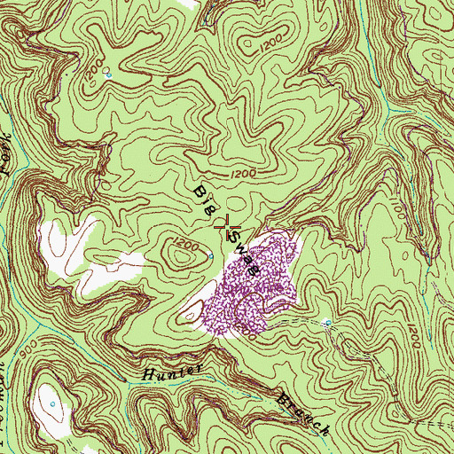 Topographic Map of Big Swag, KY