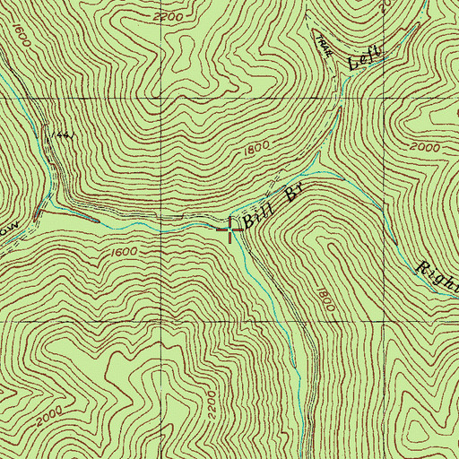 Topographic Map of Bill Branch, KY
