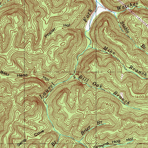 Topographic Map of Bill Oak Branch, KY