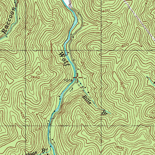 Topographic Map of Bills Branch, KY