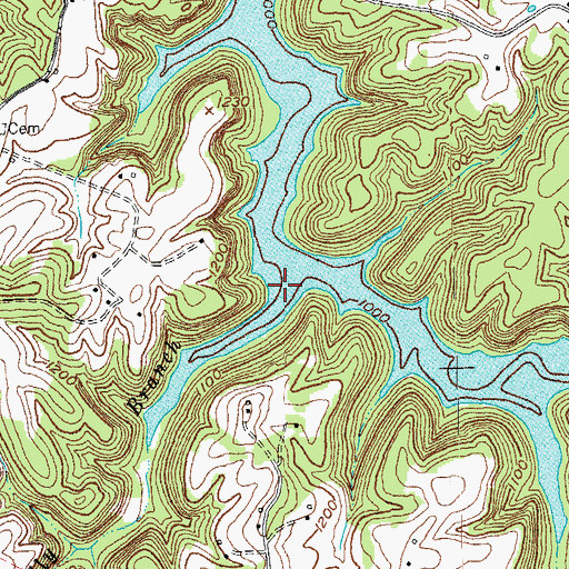 Topographic Map of Billy Branch, KY