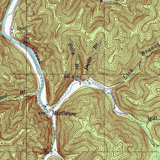 Topographic Map of Billy Branch, KY