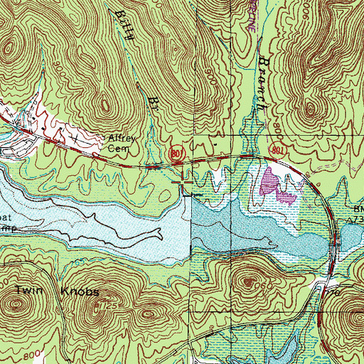 Topographic Map of Billy Branch, KY
