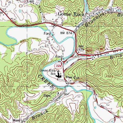 Topographic Map of Billys Branch, KY