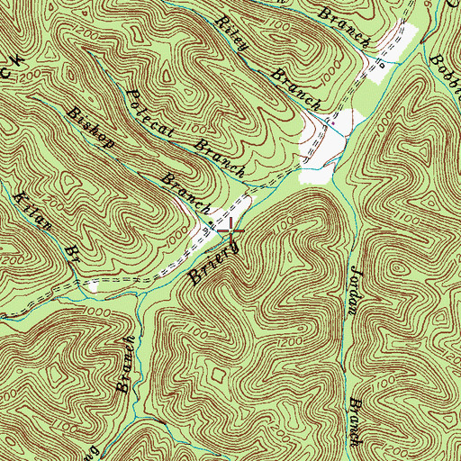 Topographic Map of Bishop Branch, KY