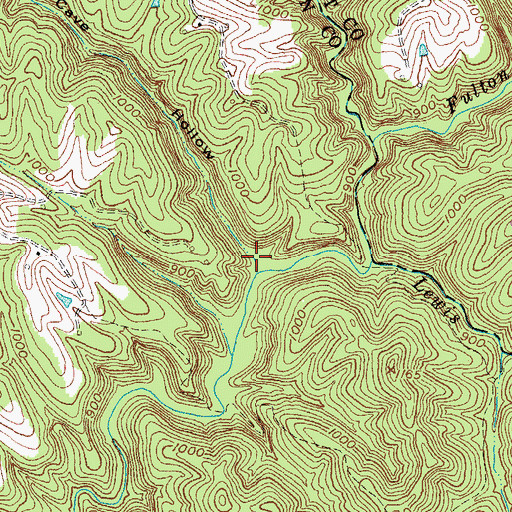 Topographic Map of Black Cave Hollow, KY