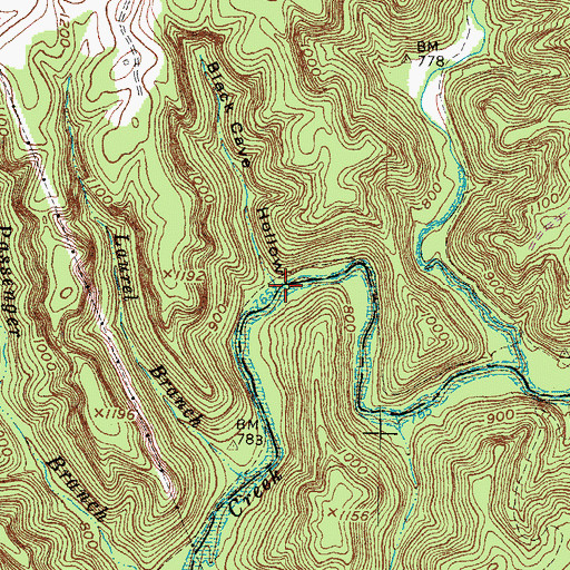 Topographic Map of Black Cave Hollow, KY