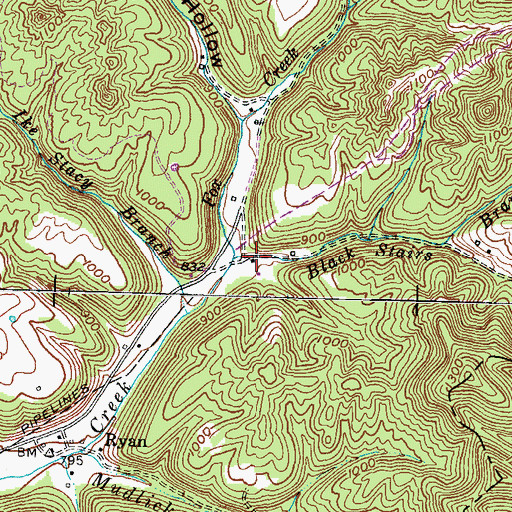 Topographic Map of Black Stairs Branch, KY