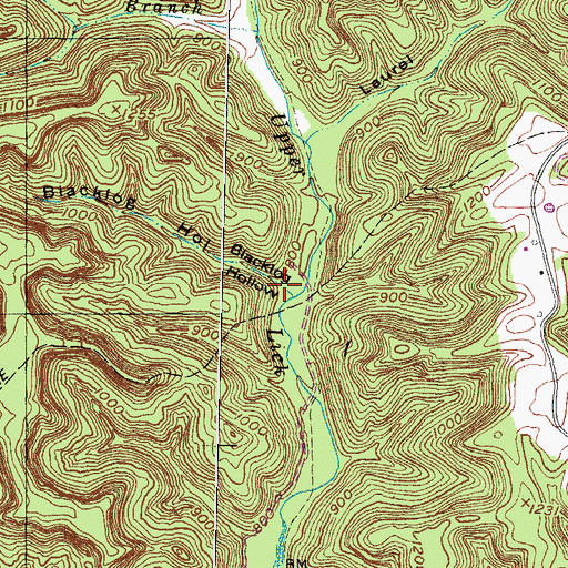 Topographic Map of Blacklog Hollow, KY