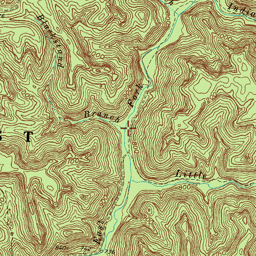 Topographic Map of Blackstand Branch, KY