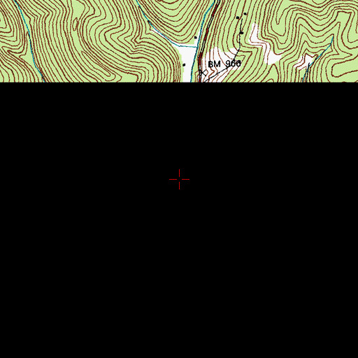 Topographic Map of Blue Springs, KY