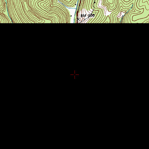 Topographic Map of Blue Springs School, KY