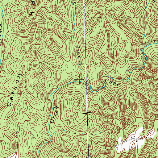 Topographic Map of Bolton Branch, KY