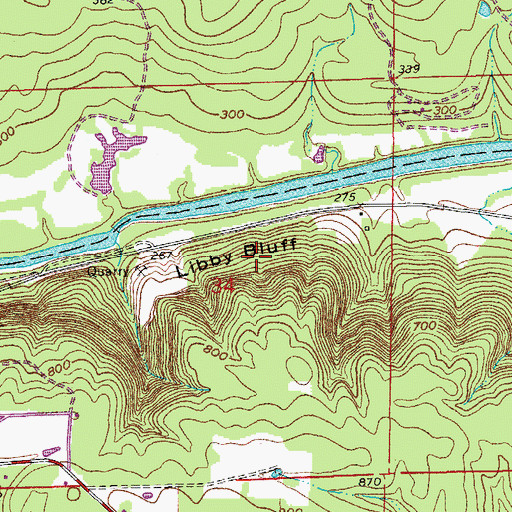 Topographic Map of Libby Bluff, AR
