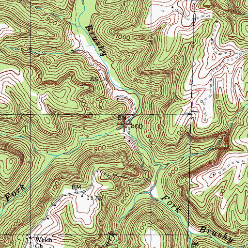 Topographic Map of Botts Fork, KY