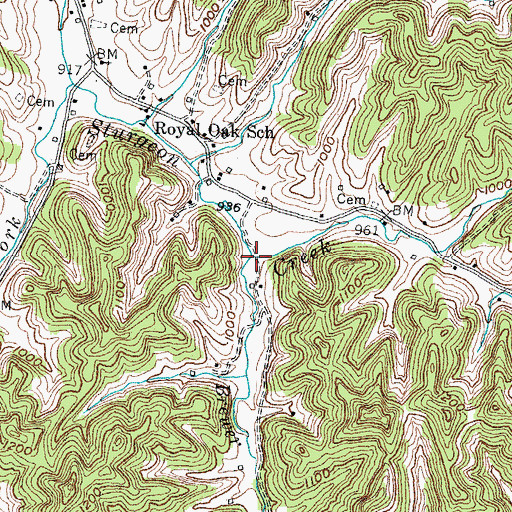 Topographic Map of Brewer Fork, KY