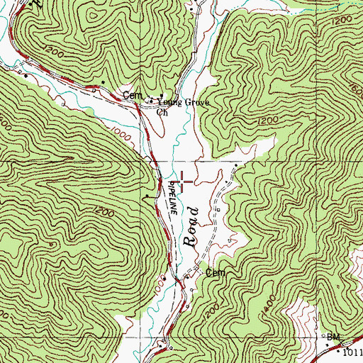 Topographic Map of Brices Creek, KY