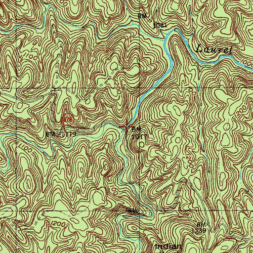 Topographic Map of Bridge Fork, KY