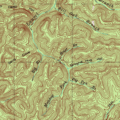 Topographic Map of Brier Branch, KY