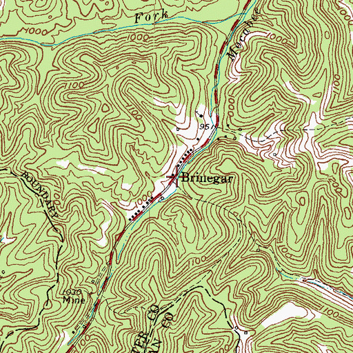Topographic Map of Brinegar, KY