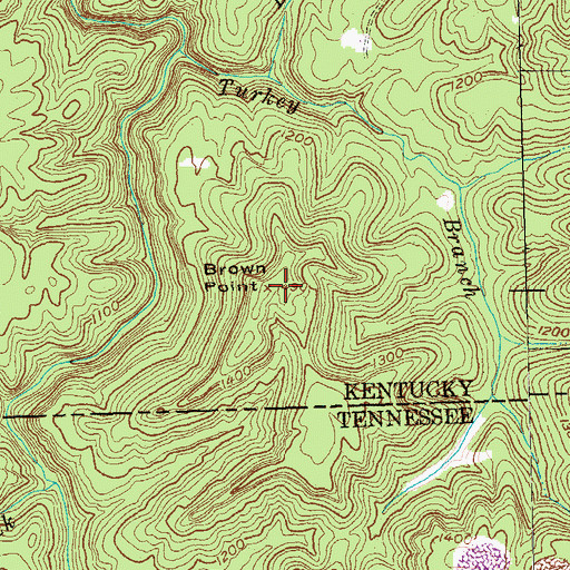 Topographic Map of Brown Point, KY