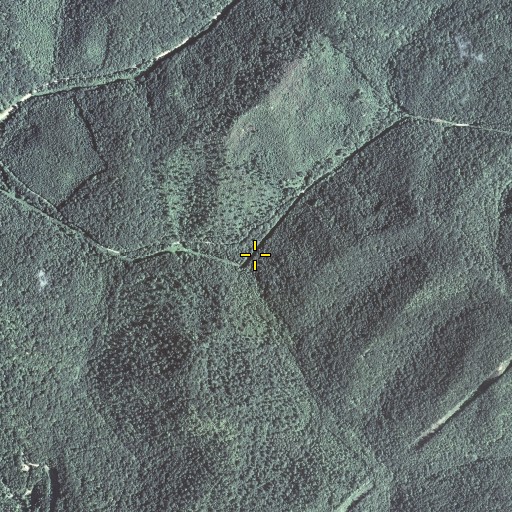 Aerial/Satellite Image of Brushy Fork, KY