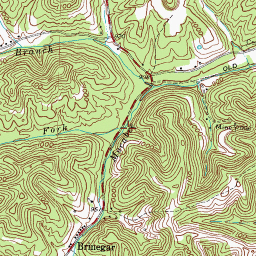 Topographic Map of Brushy Fork, KY