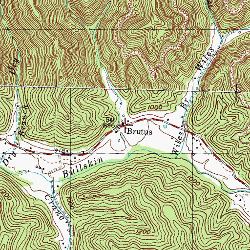 Topographic Map of Brutus, KY