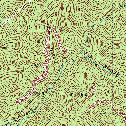Topographic Map of Buck Hollow, KY