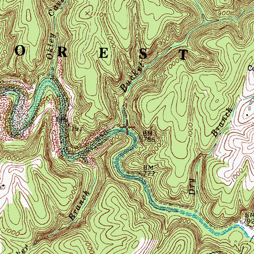 Topographic Map of Bucket Branch, KY