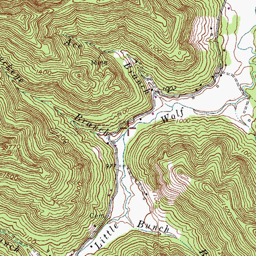 Topographic Map of Buckeye Branch, KY