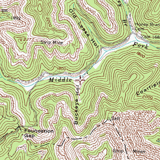 Topographic Map of Buckeye Hollow, KY