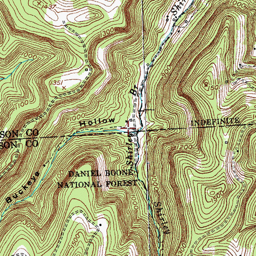 Topographic Map of Buckeye Hollow, KY