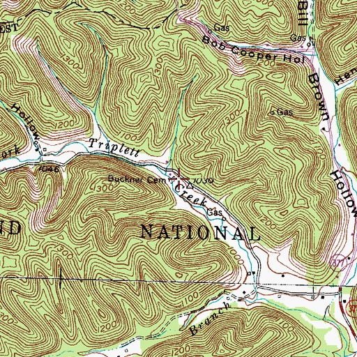 Topographic Map of Buckner Cemetery, KY