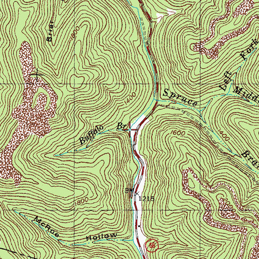 Topographic Map of Buffalo Branch, KY