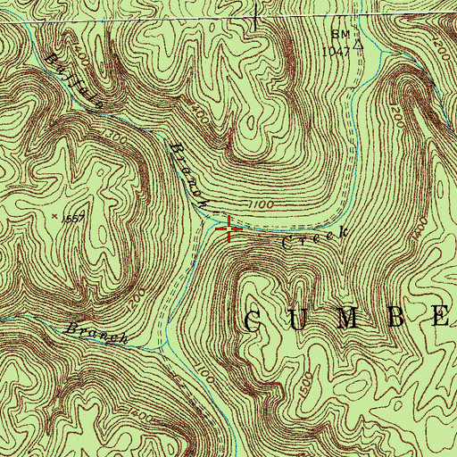 Topographic Map of Buffalo Branch, KY