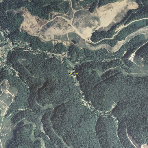 Aerial/Satellite Image of Buffalo Fork, KY
