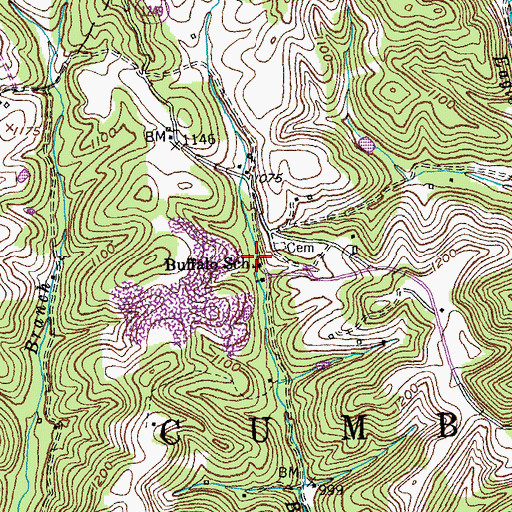 Topographic Map of Buffalo School, KY