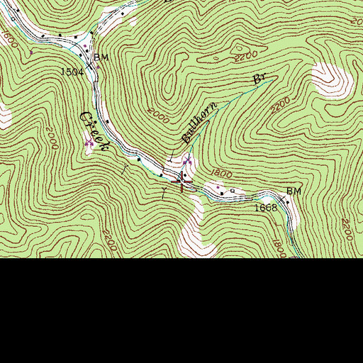 Topographic Map of Bullhorn Branch, KY