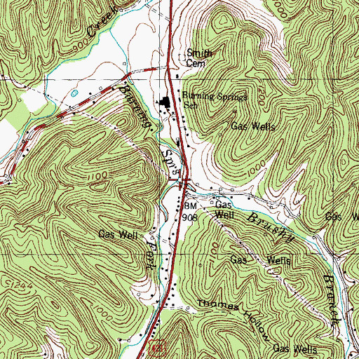 Topographic Map of Brushy Branch, KY